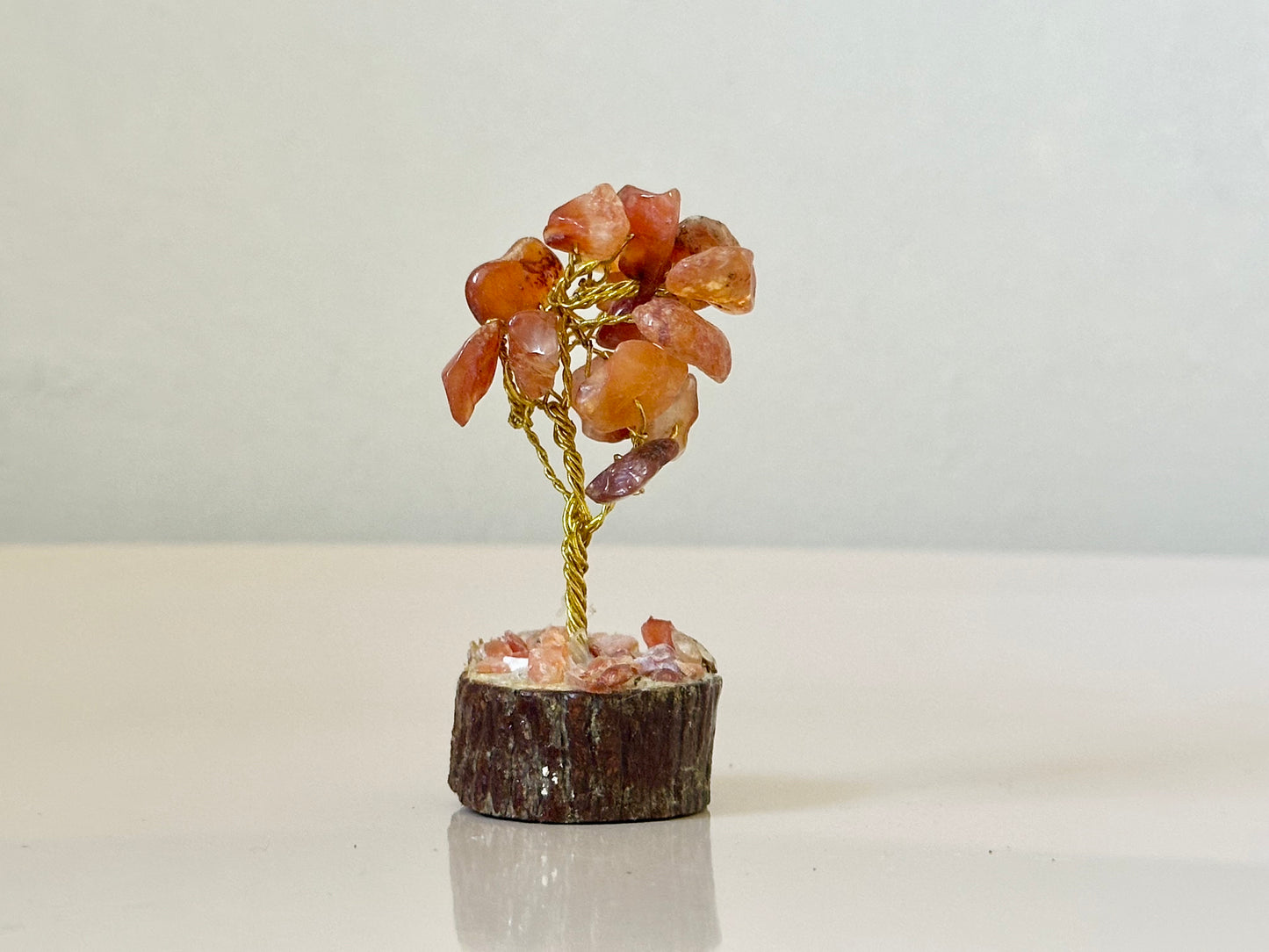 Mini Carnelian Gemstone Tree on Wooden Base
